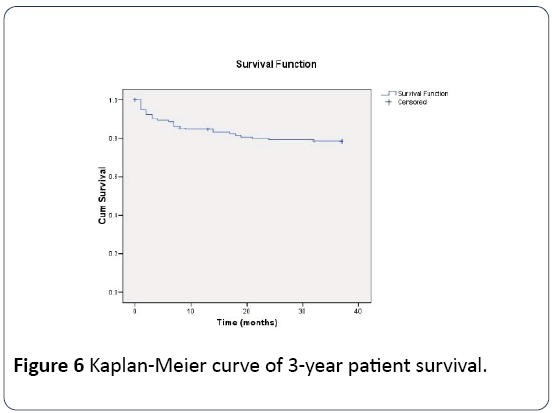 renal-medicine-Kaplan-Meier