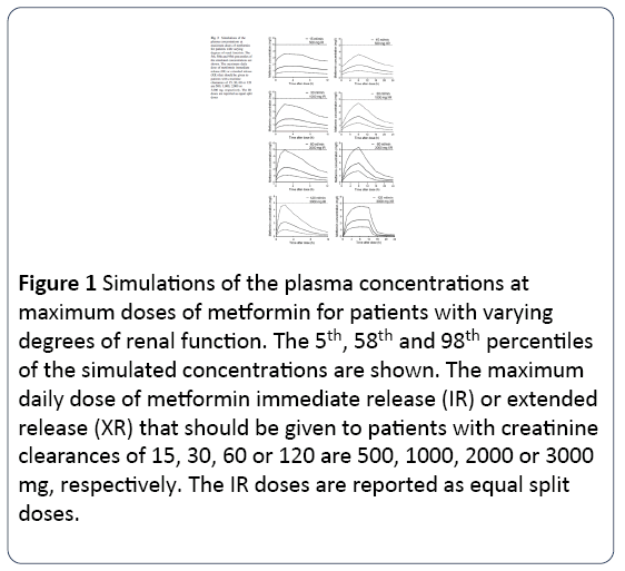 renal-medicine-plasma-concentrations