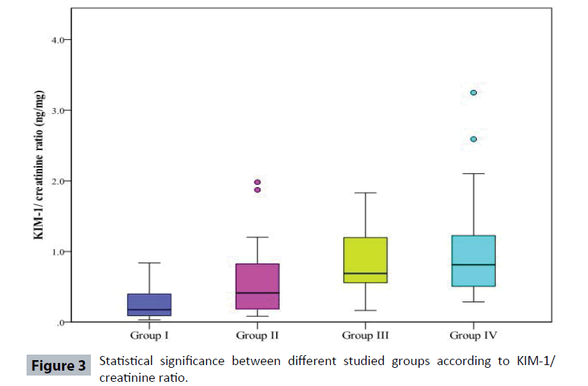 renal-medicine-studied-groups