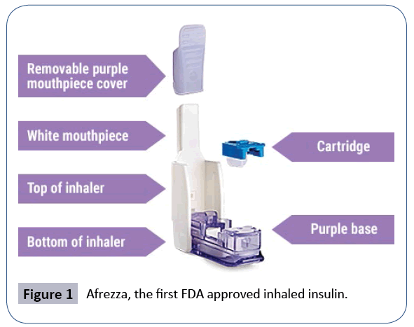 reports-in-endocrine-disorders-open-access-inhaled-insulin