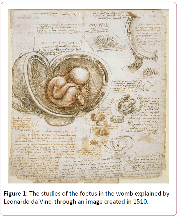 research-journal-congenital-diseases-womb-explained