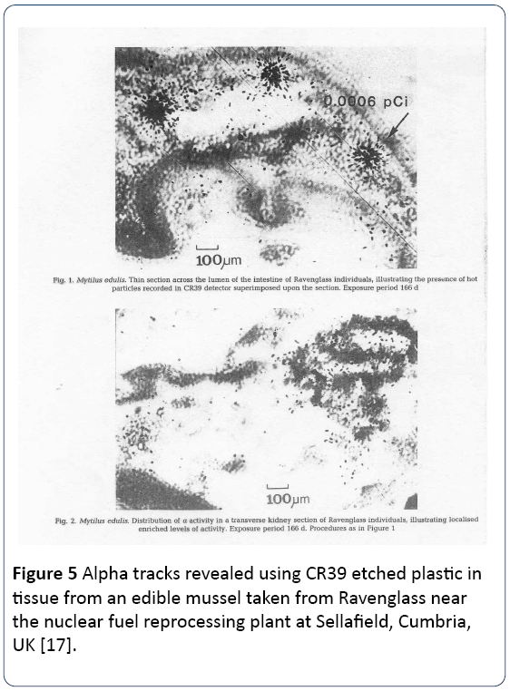 research-reports-toxicology-Alpha-tracks