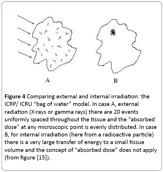 research-reports-toxicology-bag-water