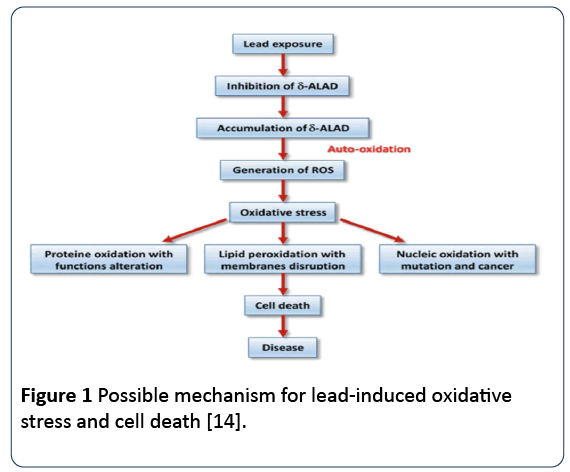 research-reports-toxicology-cell-death