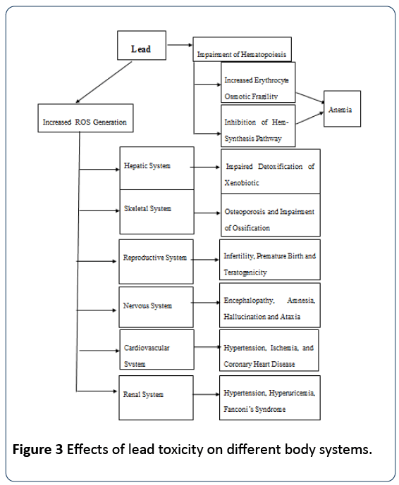 research-reports-toxicology-lead-toxicity