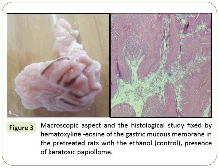 research-review-Macroscopic