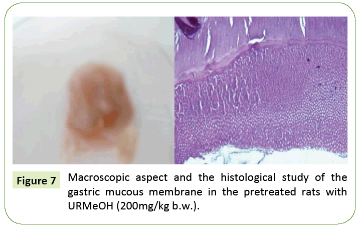 research-review-gastric