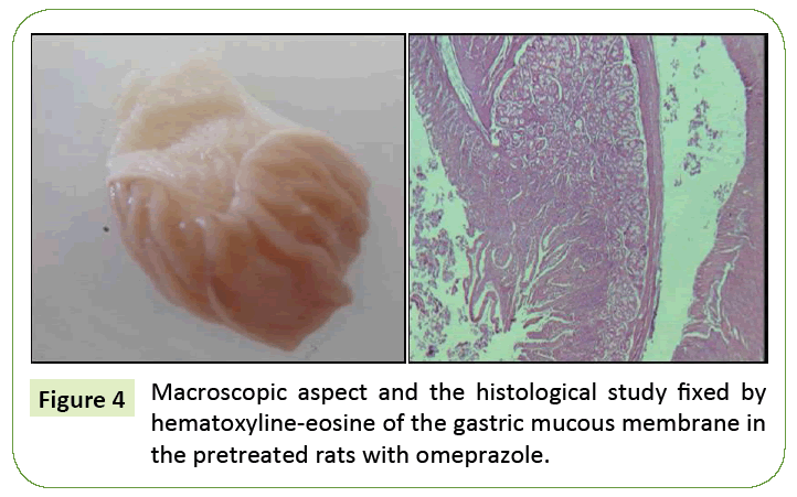 research-review-histological