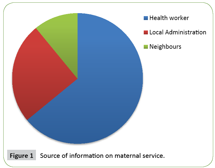 research-review-maternal