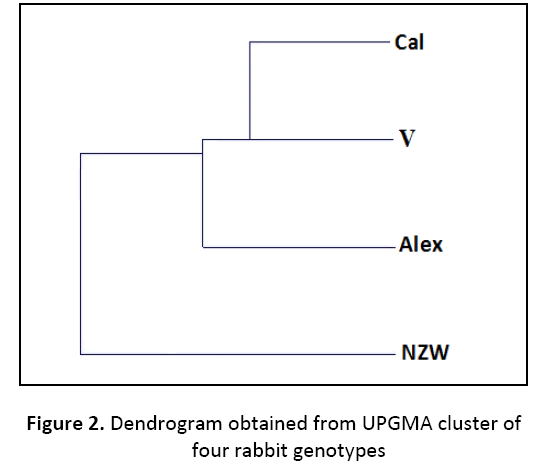 research-review-maternal-dendrogram