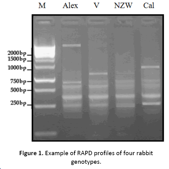 research-review-maternal-genotypes