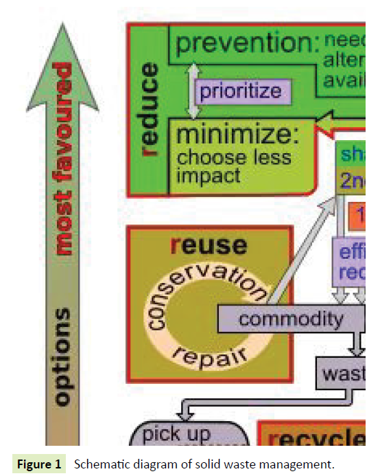 research-review-maternal-solid-waste