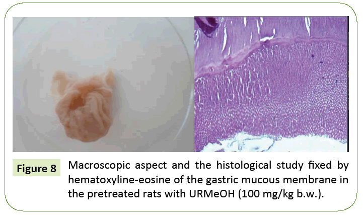 research-review-membrane