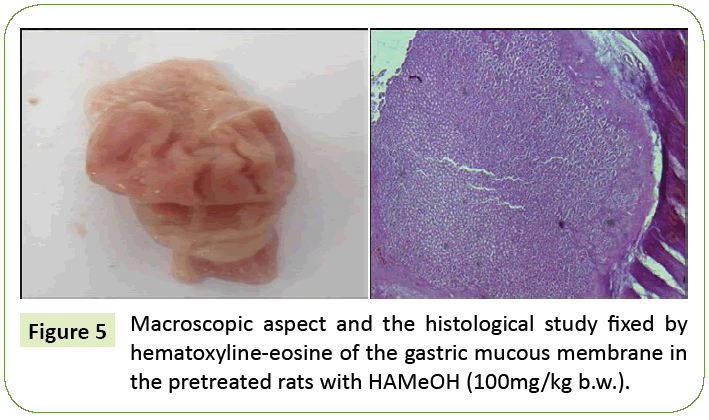 research-review-mucous