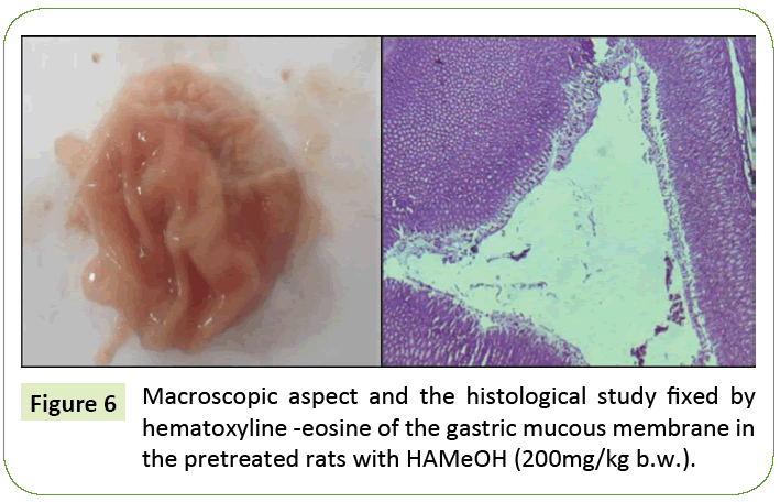 research-review-pretreated