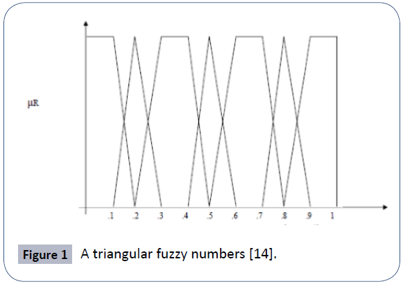 resources-recycling-waste-management-triangular-fuzzy-numbers