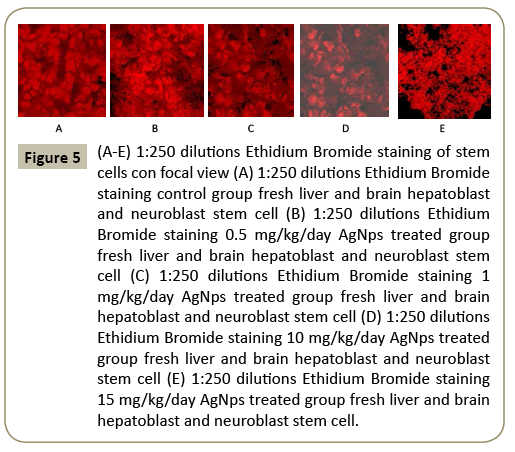 stem-cell-biology-and-transplantation-dilutions