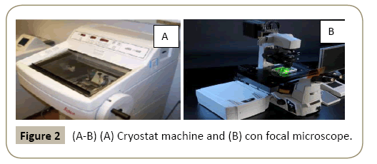 stem-cell-biology-and-transplantation-machine