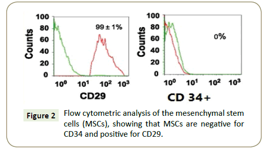 stem-cell-biology-and-transplantation-mesenchymal