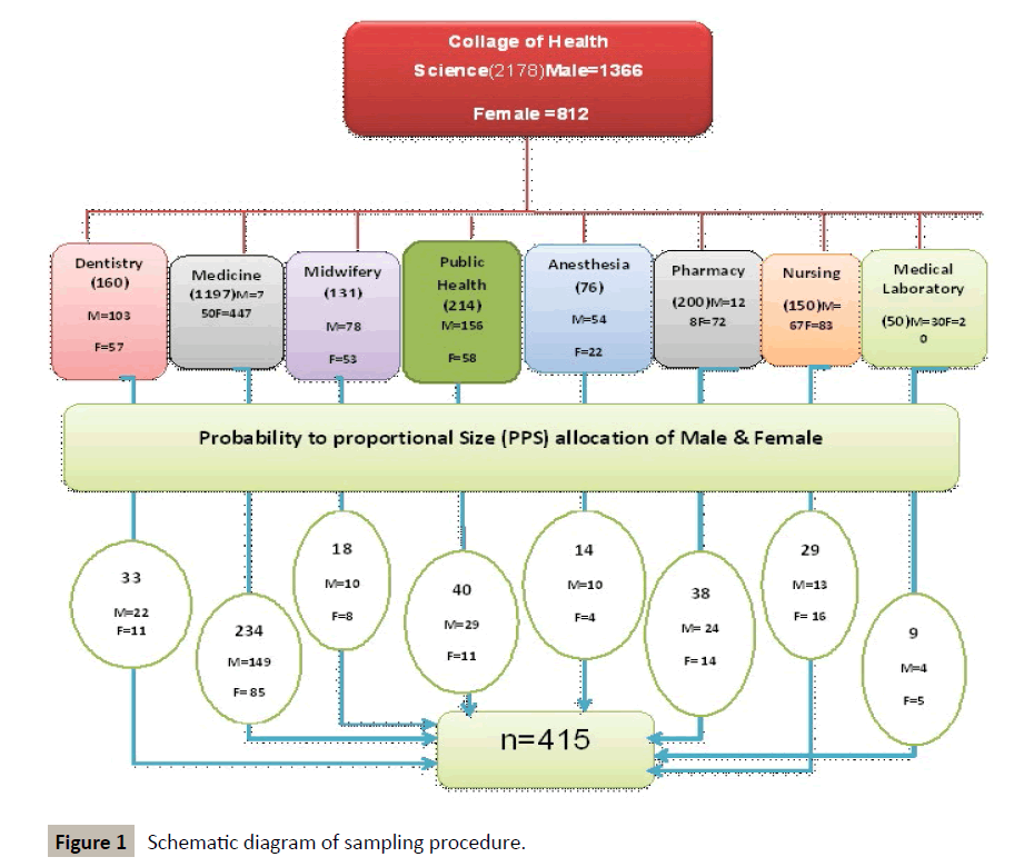 stem-cell-biology-transplantation-sampling-procedure