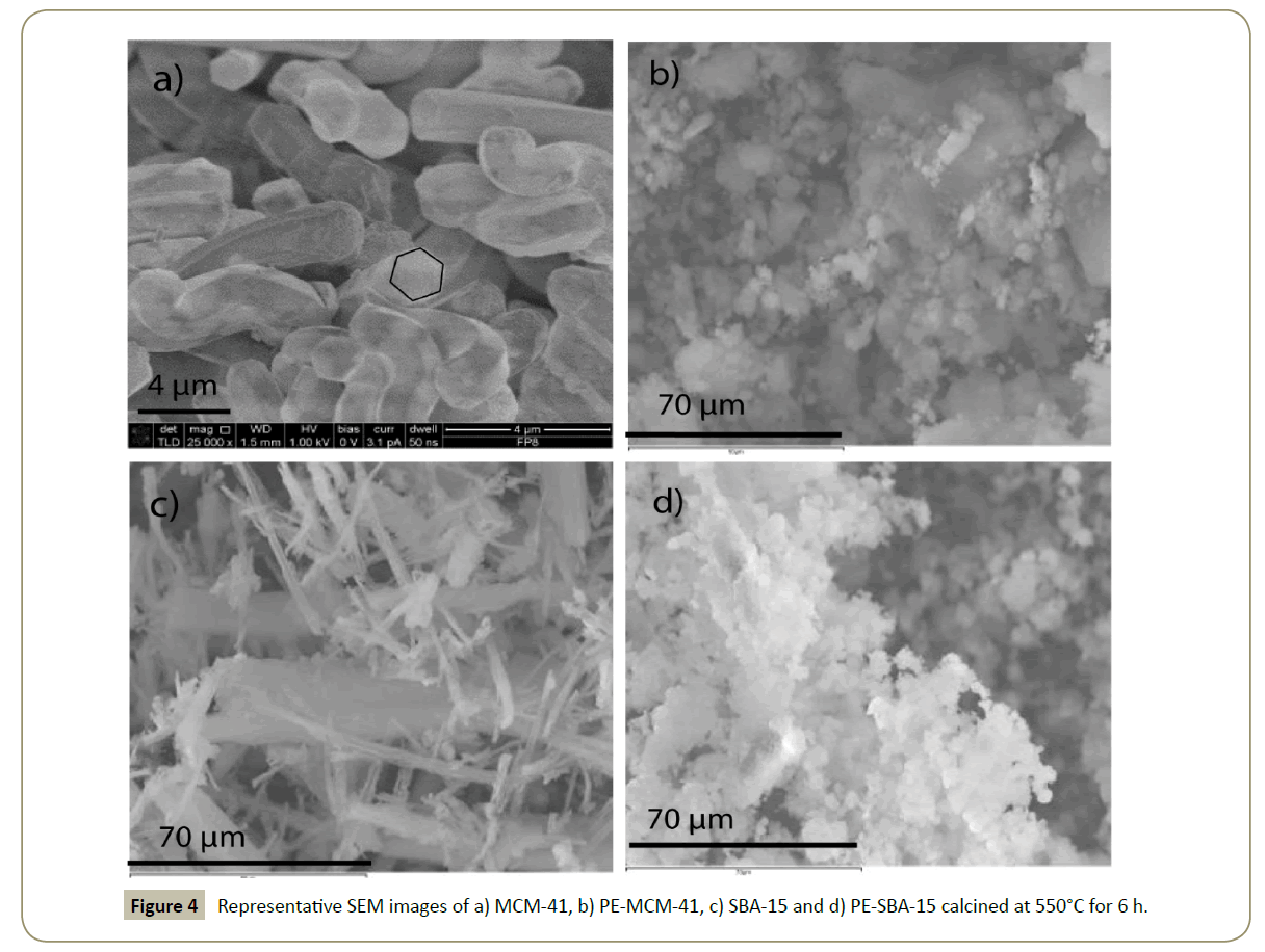 synthesis-catalysis-SEM-images