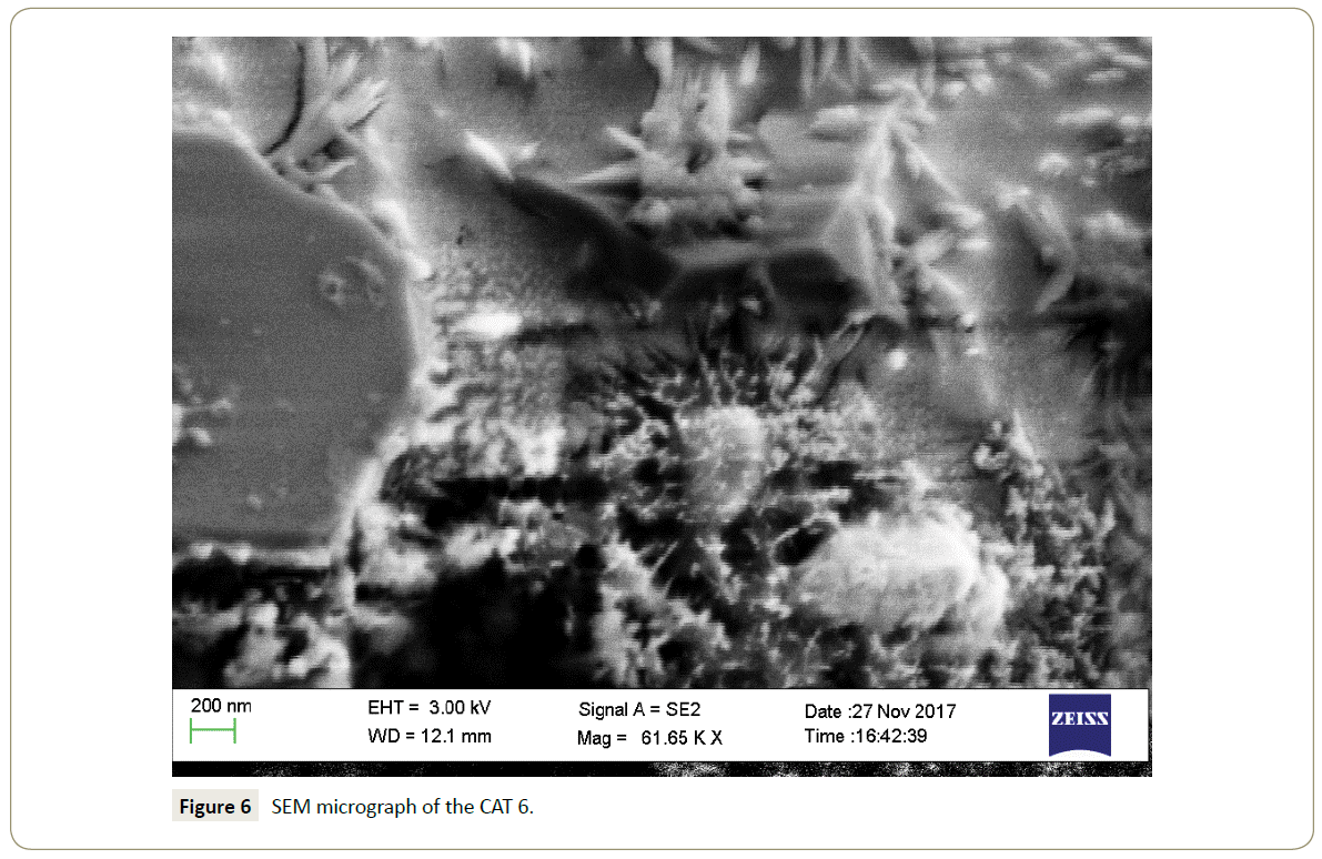 synthesis-catalysis-SEM-micrograph