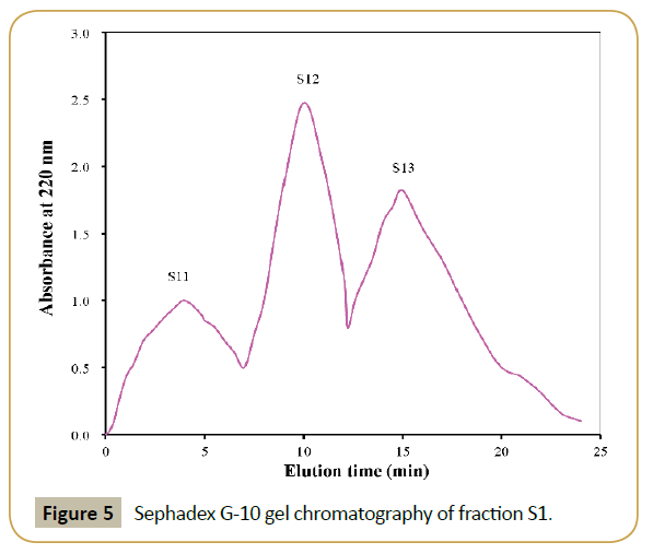 synthesis-catalysis-chromatography-fraction