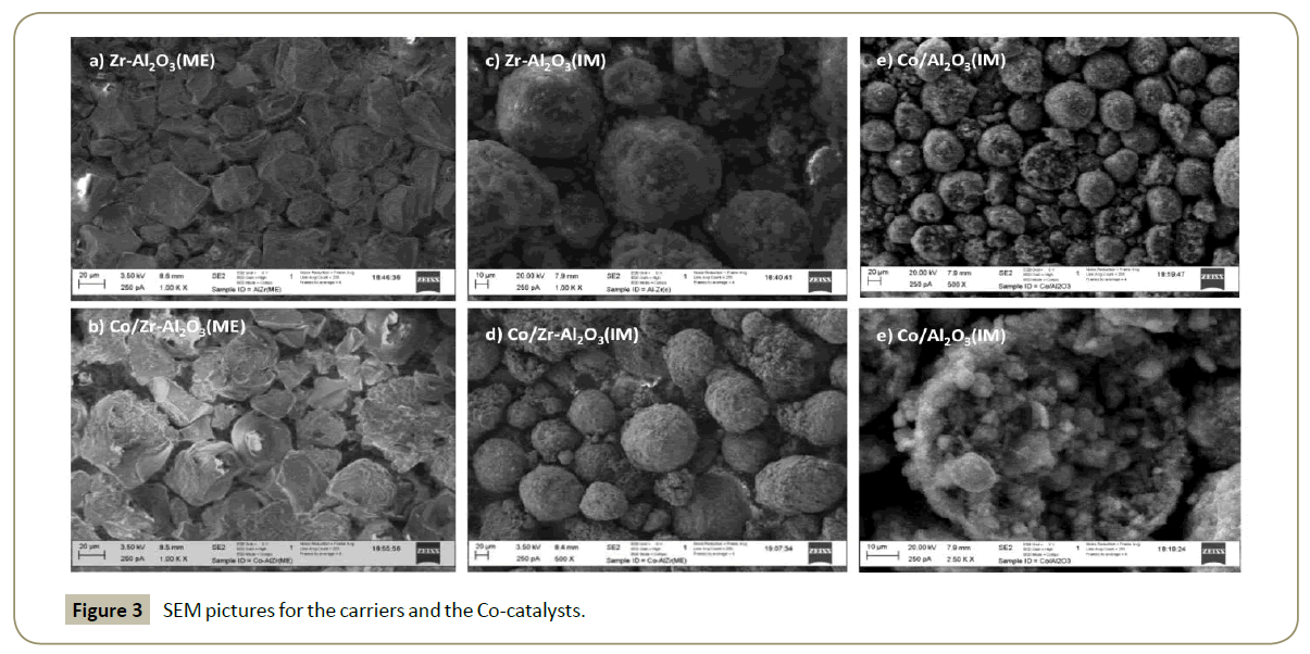 synthesis-catalysis-pictures-carrier