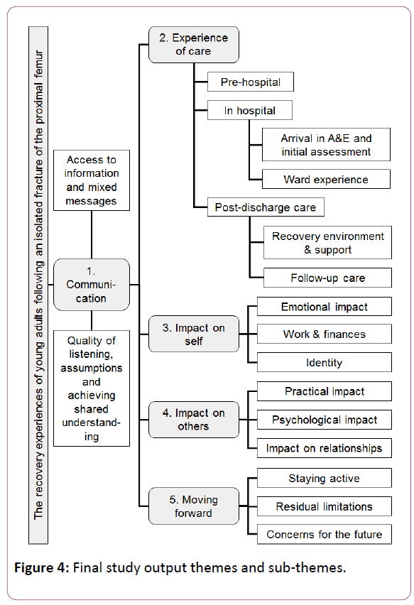 trauma-orthopedic-nursing-output-themes