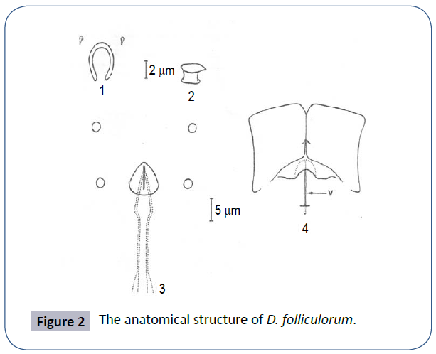 waste-management-anatomical-structure