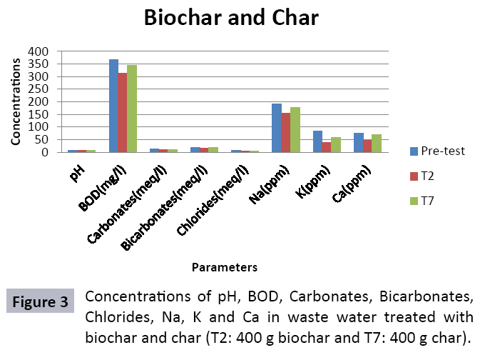 waste-management-biochar-and-char