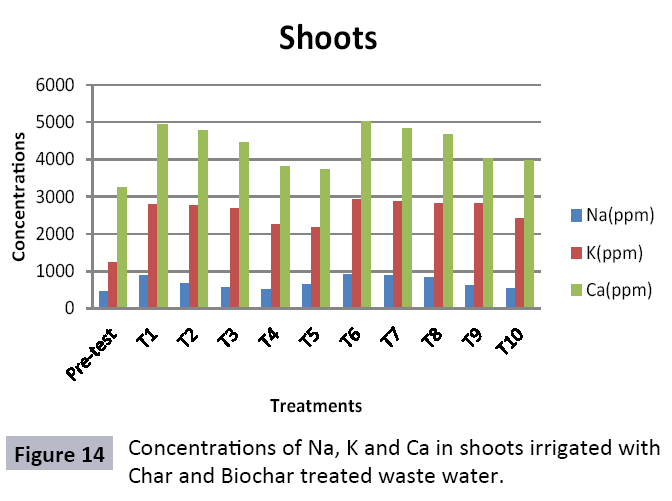 waste-management-shoots-irrigated