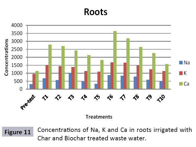 waste-management-waste-water-treated-biochar