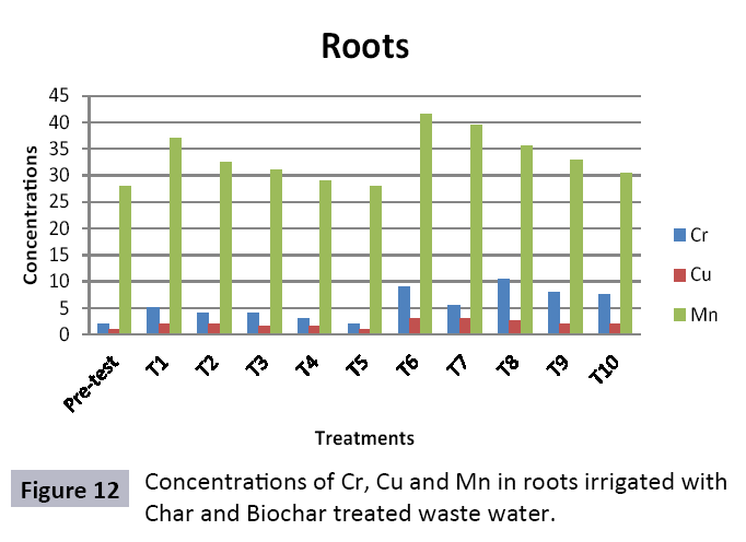 waste-management-waste-water-treated-biochar