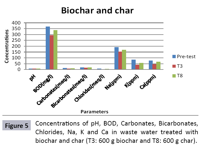 waste-management-water-treated-biochar