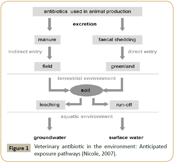 zoonotic-diseases-public-health-antibiotic-environment